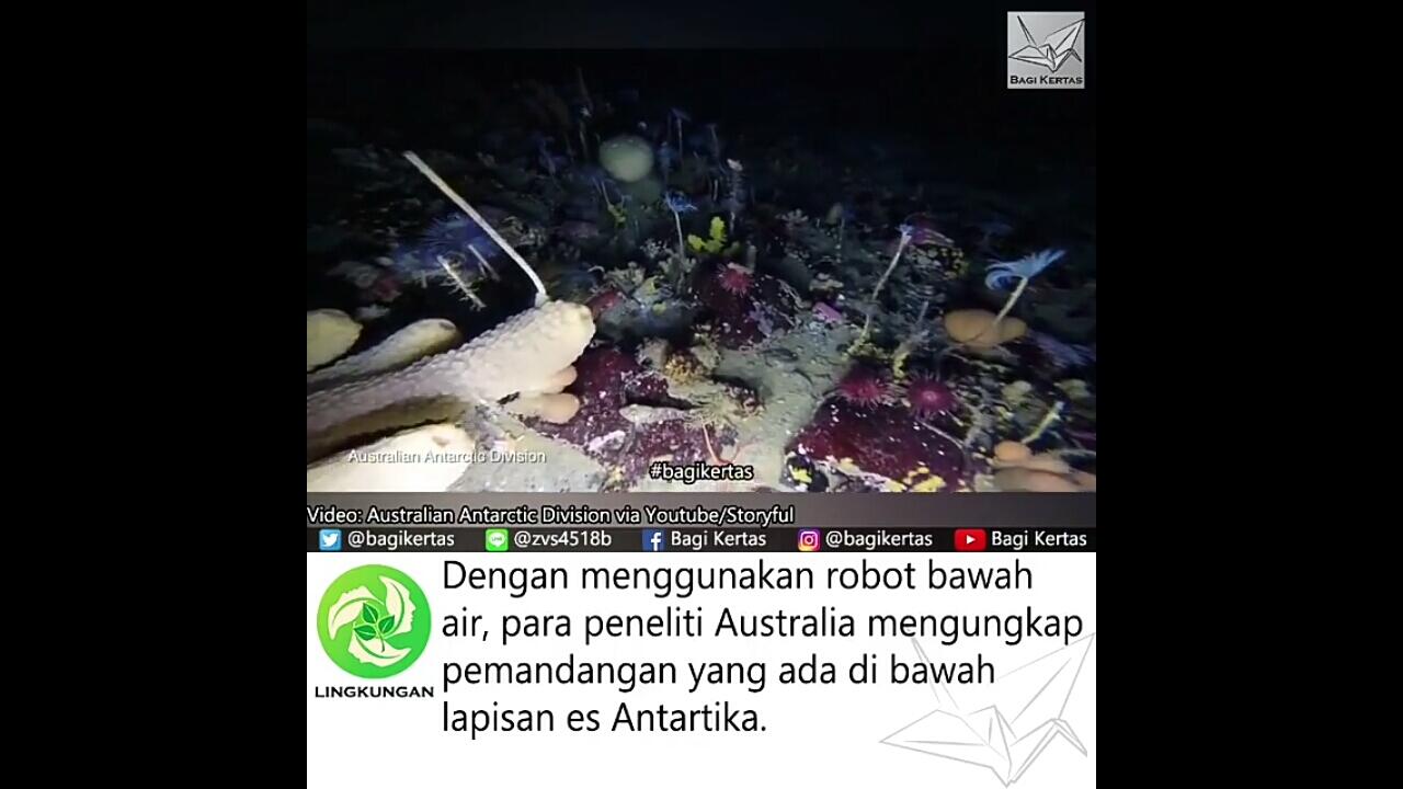 Mengungkap Pemandangan di Bawah Lapisan Es Antartika dengan Robot Bawah Air