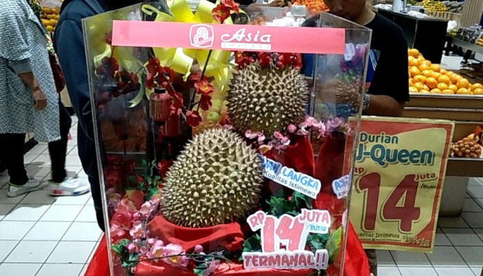 Penyebab Harga Durian Rp14 Juta Perbutir Dan Petaninya Kaget Tak Percaya 