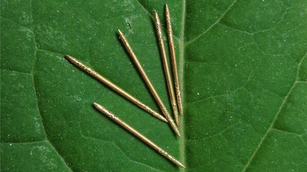 Di Sinilah Tempat Pasang Susuk Emas 