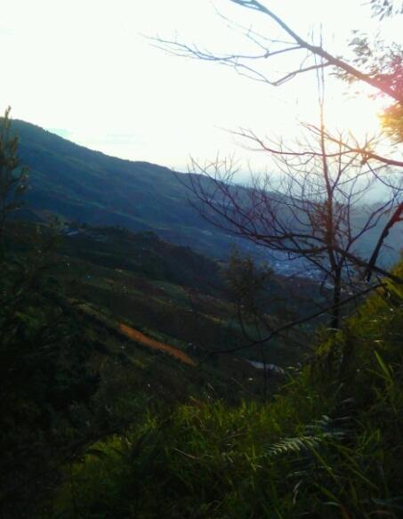 Sebuah Bukit Dan Realita