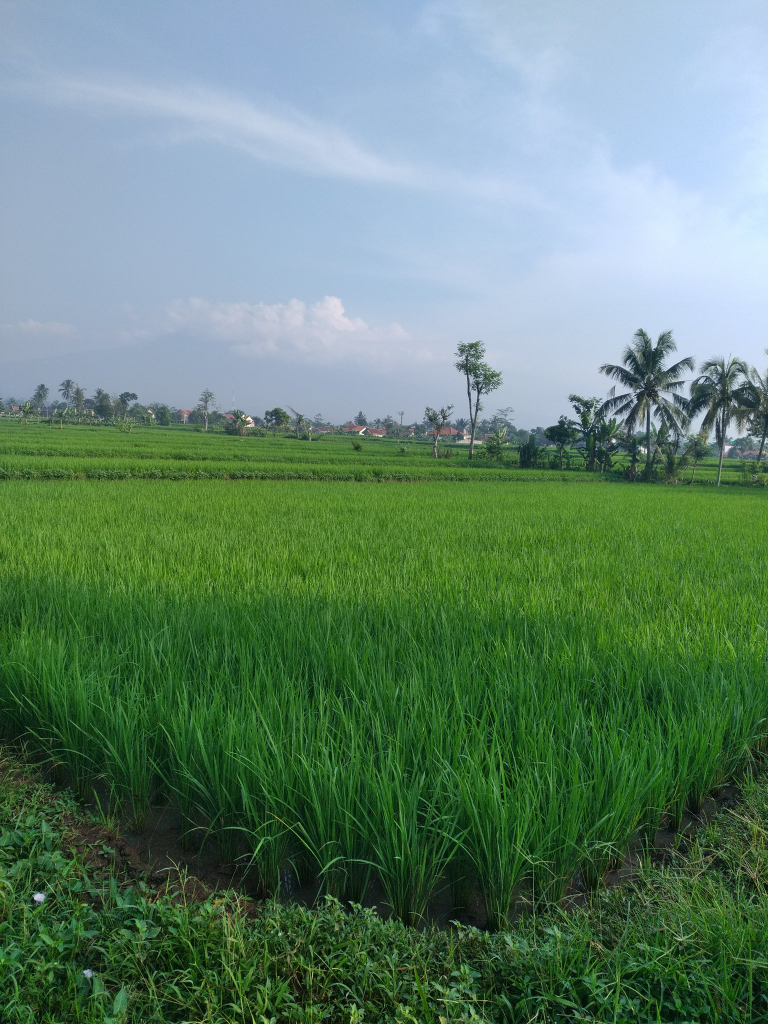 &#91;FR&#93; Proses Pembuatan Sertifikat Wakaf 