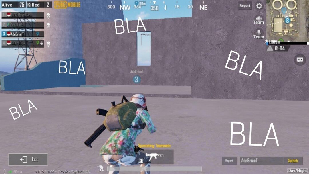 Tipe Karakter Temen Mabar PUBG Mobile