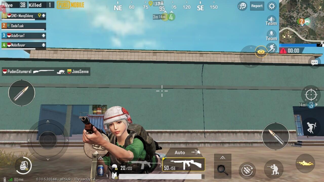 Tipe Karakter Temen Mabar PUBG Mobile