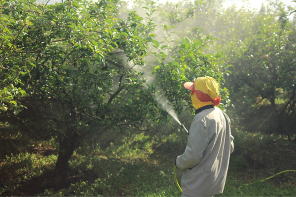 Agricultural Photography, Seni Fotografi tentang Dunia Pertanian