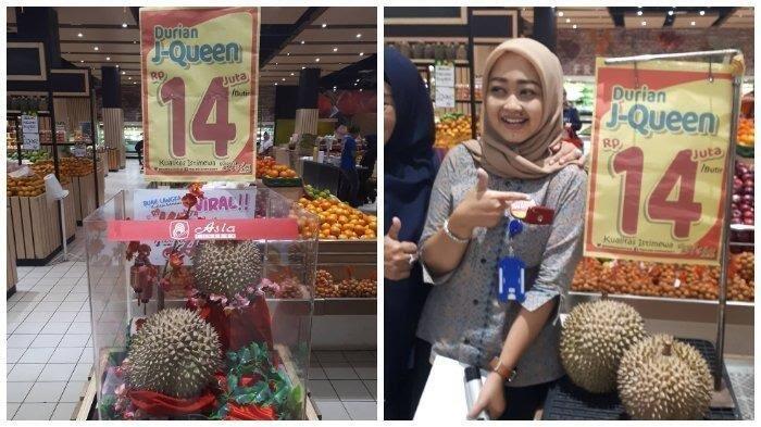 J-Quenn Durian Dengan Harga 14 Juta Yang Fenomenal. 