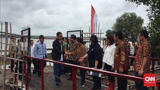 Kena Patil Udang, Tangan Jokowi Berdarah saat Panen di Bekasi