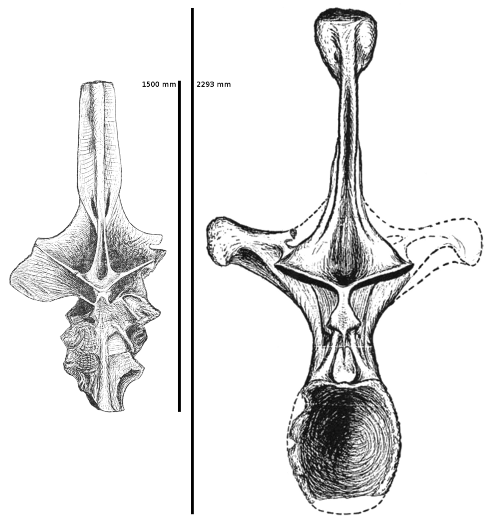 Cebong Versus Kampret before It was Cool, The Bone Wars