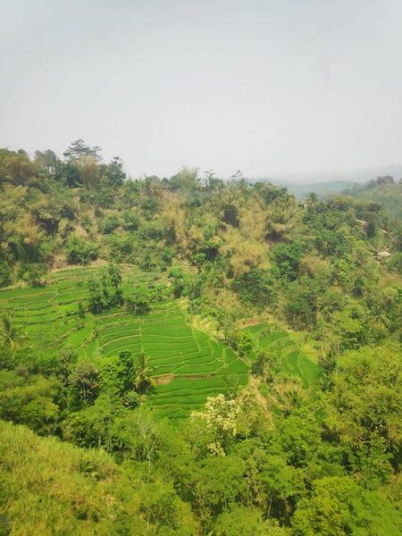 Suddenly Tiba-tiba ke Bandung, Enaknya Makan dan Ngopi di Mana?