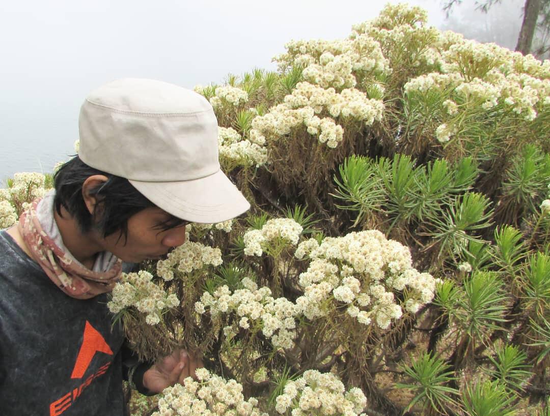 Drama Pendakian Gunung Semeru Yang Bikin Ngelus Dada