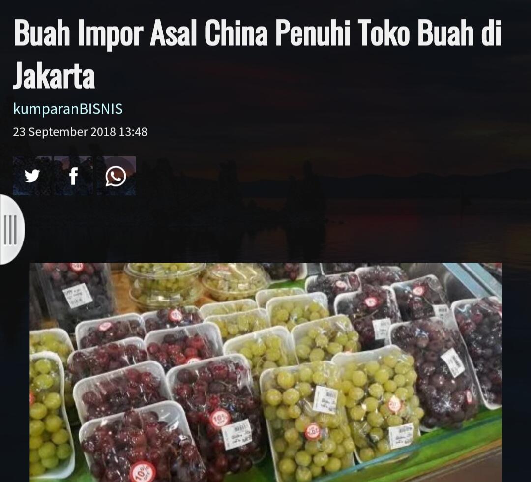 Murahnya Harga Apel Anna 1 Kg Rp 3.500, Bikin Petani Menangis