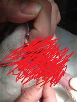 5 Subreddit Paling Disturbing yang Pernah Ada &#91;GRAPHIC&#93;