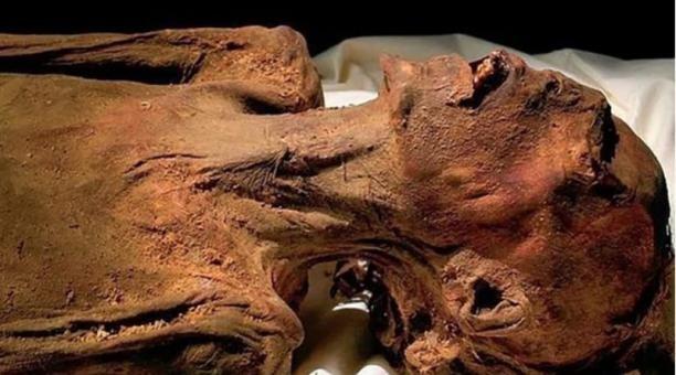 Wow! Peneliti Temukan 40 Mumi yang Berasal dari Era Ptolemaic