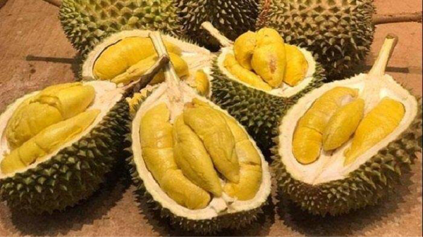 Udah Coba Belum Gan? 6 Olahan Makanan Dari Buah Duren 