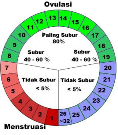 Balasan Dari Mengapa Angka Tahun Masehi Adalah 2019 Imlek