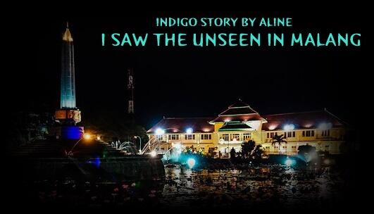 I Saw the Unseen in Malang (Indigo Stories)