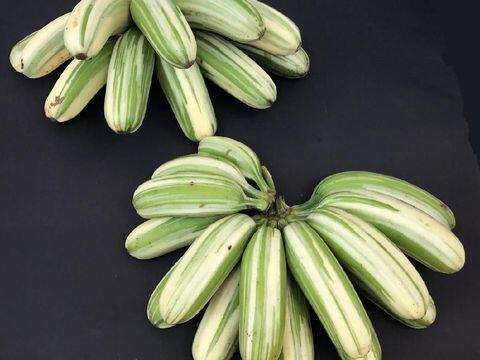 Pisang Unik, Cantik Dan Instagenik