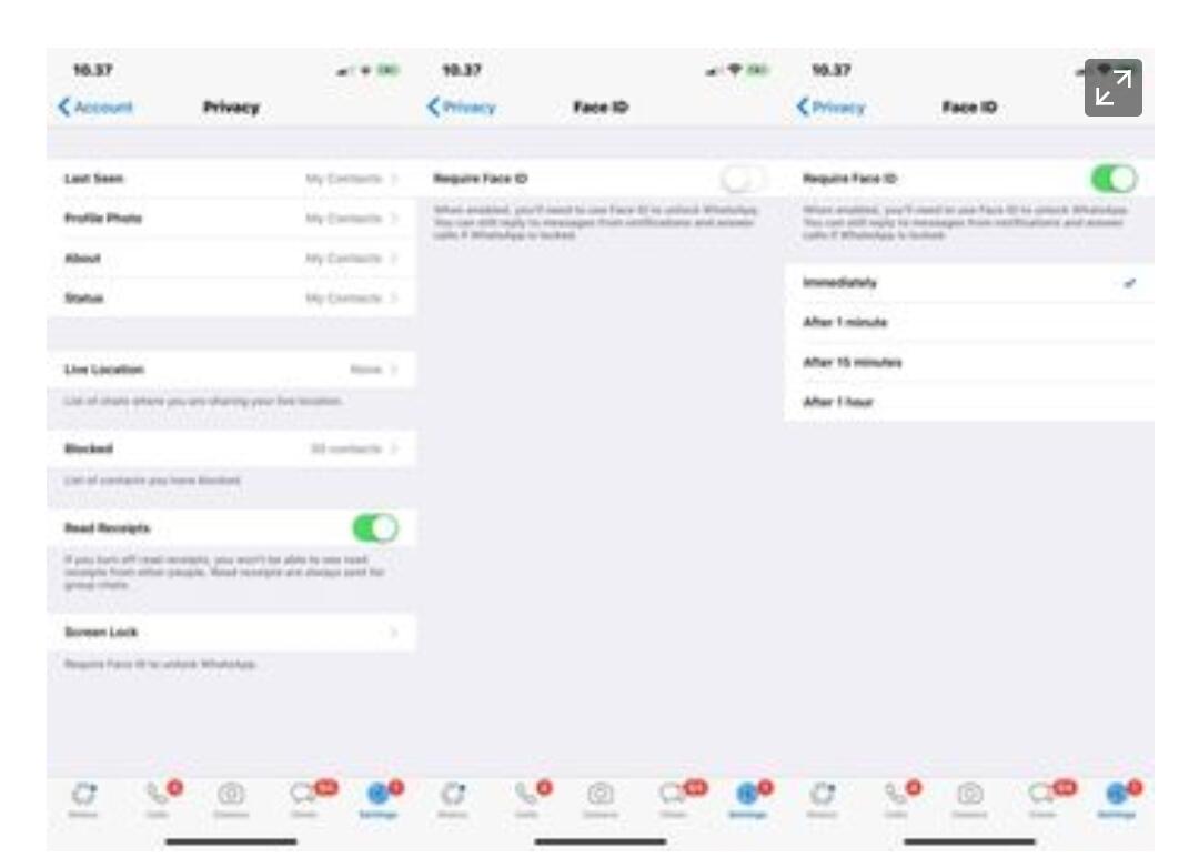 WhatsApp hadirkan autentikasi biometrik untuk iOS