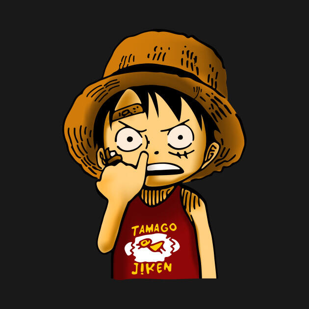 Luffy is the future pirate king ?? No way !! 