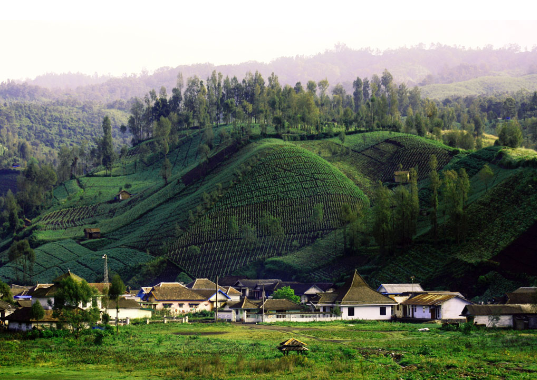 Ranu Pani - Salah satu desa Tertinggi di Indonesia 