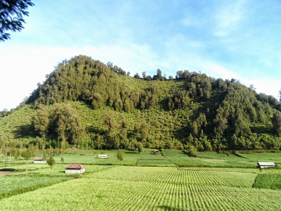 Ranu Pani - Salah satu desa Tertinggi di Indonesia 