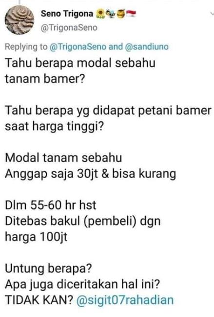 Soal Petani yang Curhat ke Sandi, TKN: Sudah Kuduga Ada Sandiwara