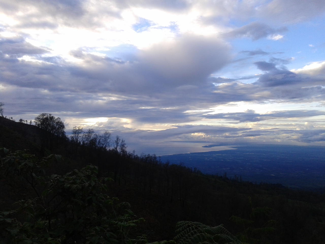 Seharian Di Banyuwangi, Bisa Ke Mana Aja?