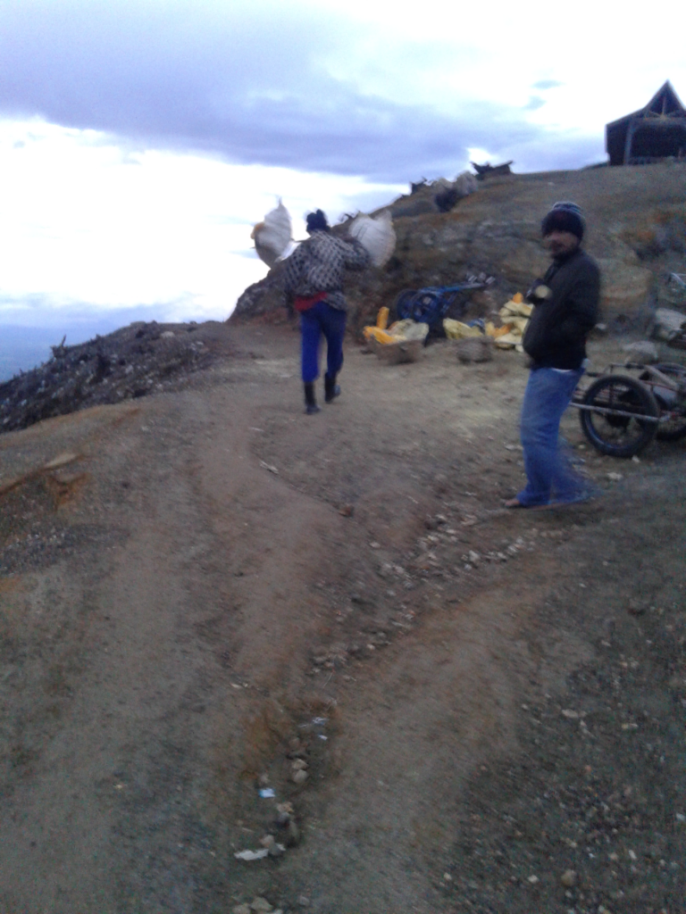 Seharian Di Banyuwangi, Bisa Ke Mana Aja?