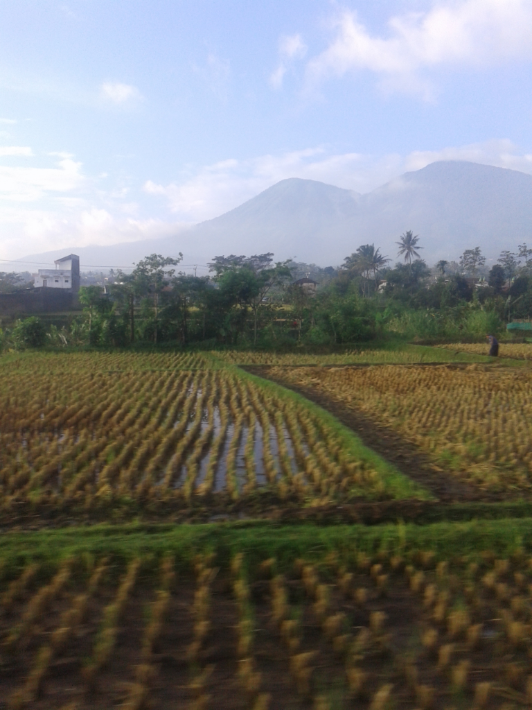 Dari Bandung Ke Banyuwangi Naik Kereta 1000 Km Kaskus