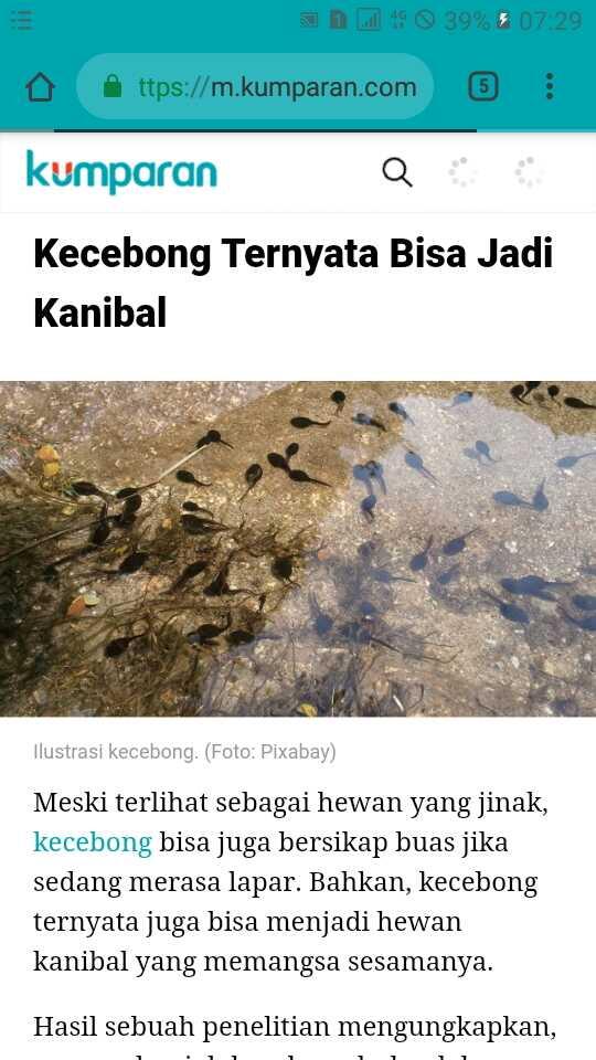 PSI Dinilai Terus Berusaha Guncang PDIP