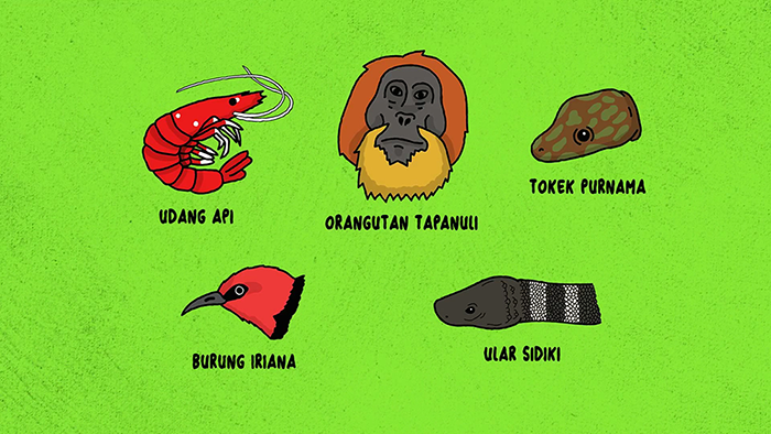 20 FAKTA MINDBLOWING TENTANG INDONESIA