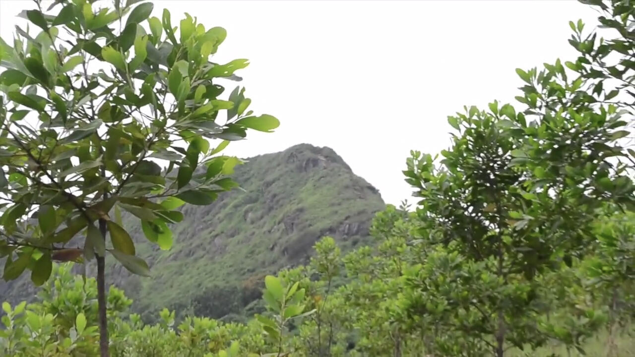 Trip Seharian ke Gunung Batu Jonggol