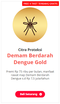 Waspada, DBD Sudah Renggut 160 Nyawa! Atasi dengan 4M Ini Gan!