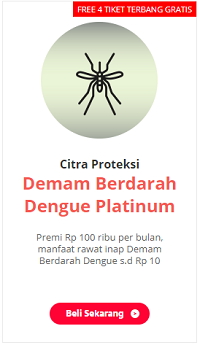 Waspada, DBD Sudah Renggut 160 Nyawa! Atasi dengan 4M Ini Gan!