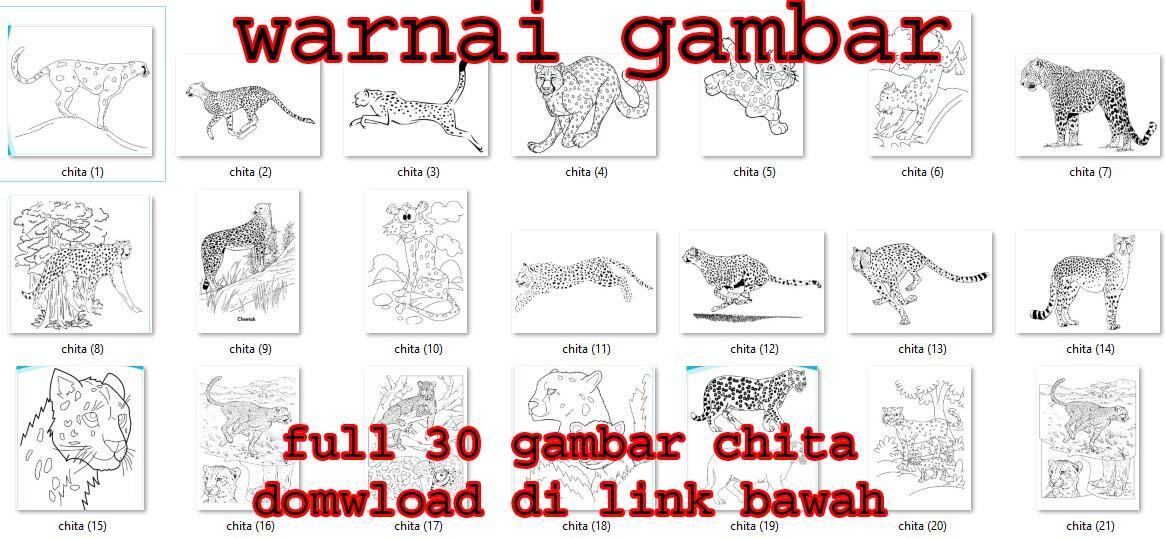 BUKU GAMBAR FULL SEMUA HEWAN ANAK ANAK