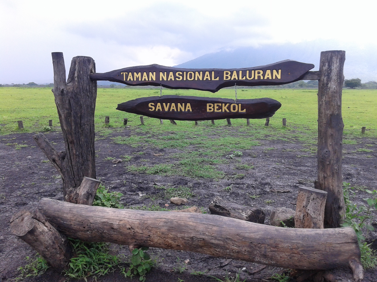 Seharian Di Banyuwangi, Bisa Ke Mana Aja?