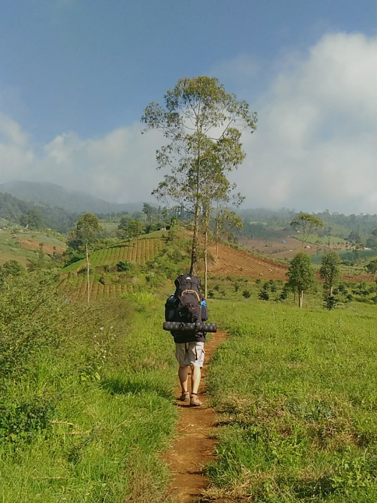 &#91;CatPer&#93;
Tegal Munding/Buffalo Hills, Garut 1000mdpl