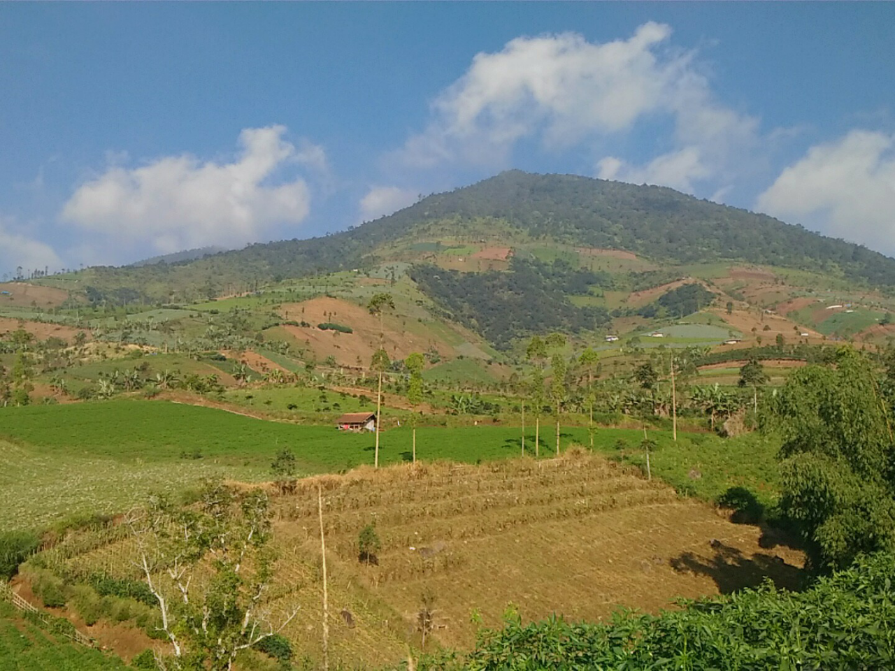 &#91;CatPer&#93;
Tegal Munding/Buffalo Hills, Garut 1000mdpl