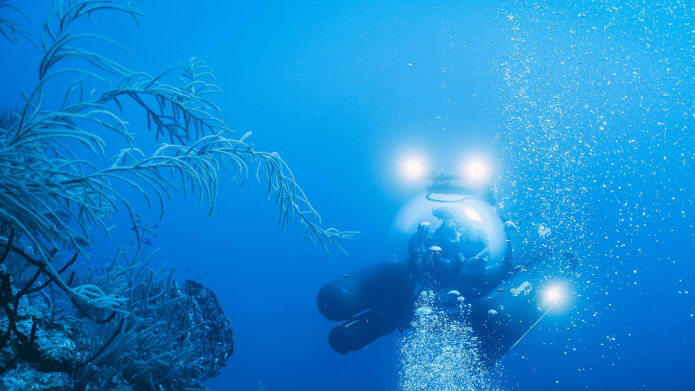 Apa Saja Yang Ada Di Kedalaman Great Blue Hole? Cek Di Sini Gan!!