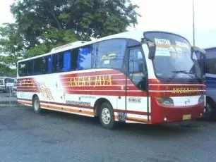 &#91;COC&#93; PO Aneka Jaya Bus &quot;Mewah dengan Harga terjangkau&quot;