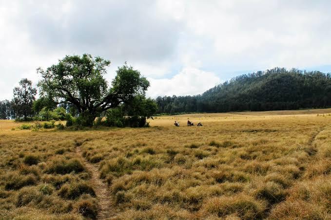 Pendakian Gunung Argopuro