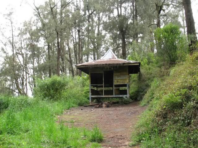 Pendakian Gunung Argopuro