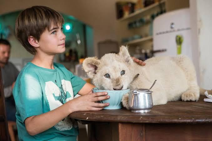 Mia And The White Lion