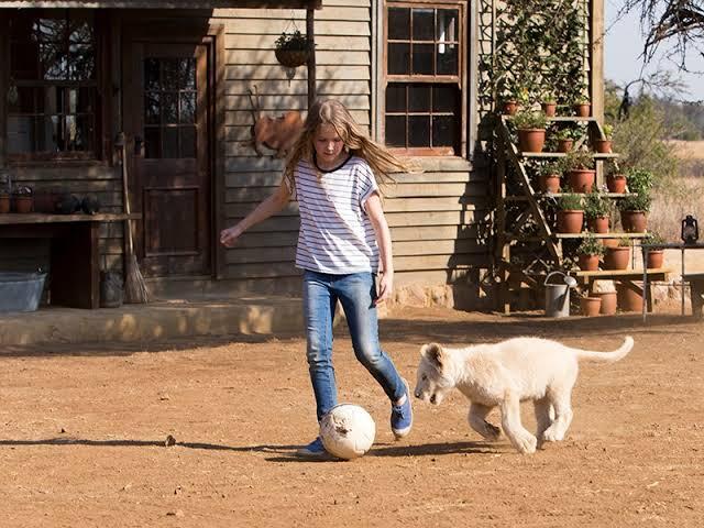Mia And The White Lion