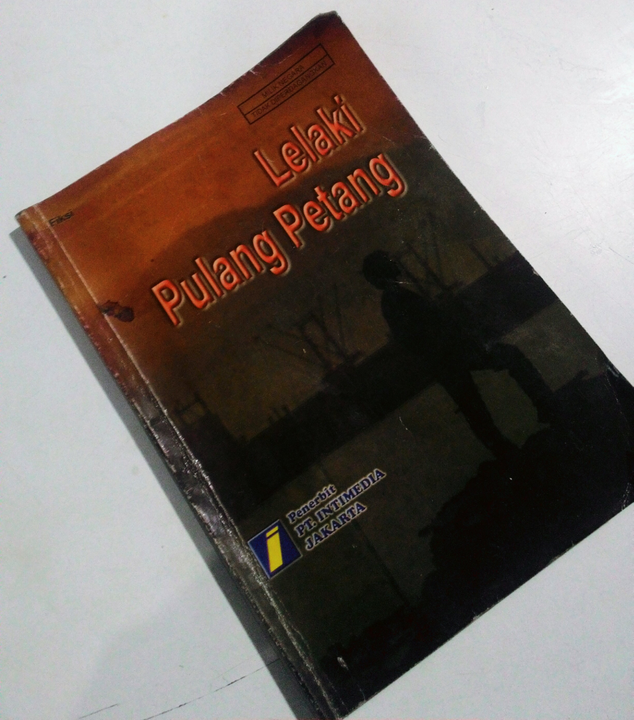 Review Buku Novel Lelaki Pulang Petang