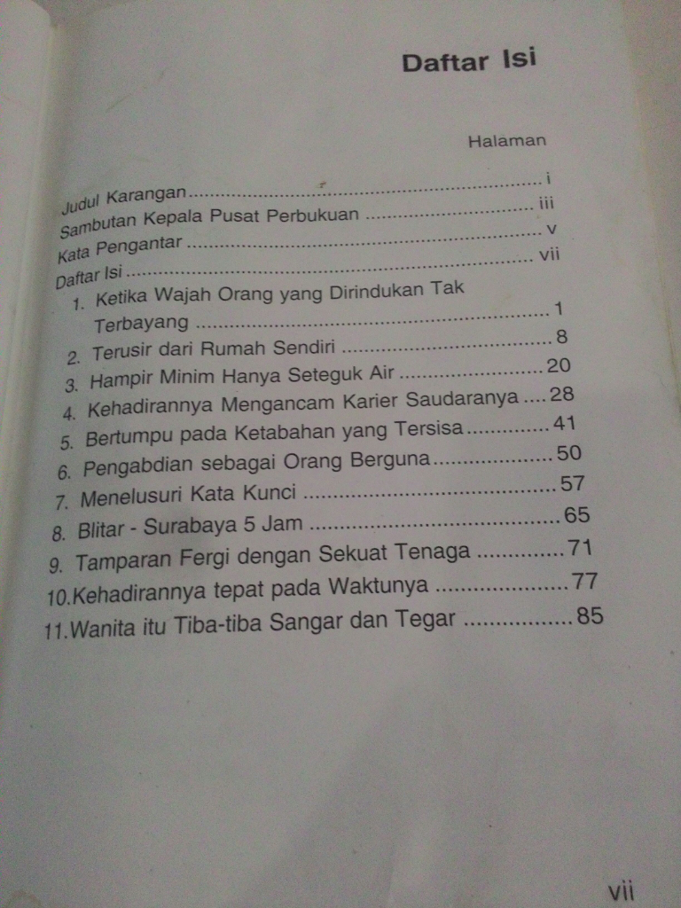 Review Buku Novel Lelaki Pulang Petang