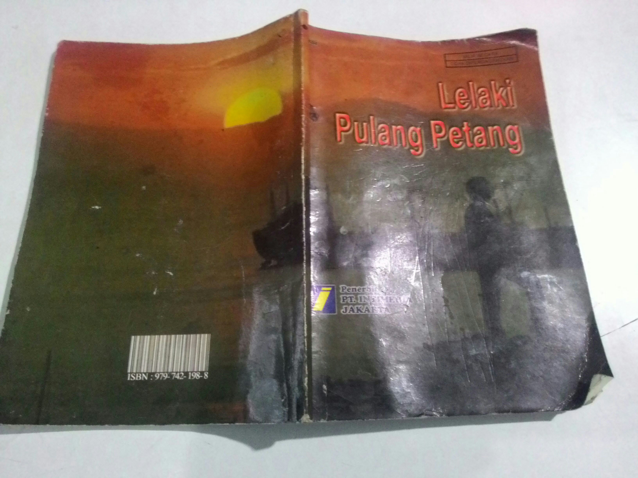 Review Buku Novel Lelaki Pulang Petang