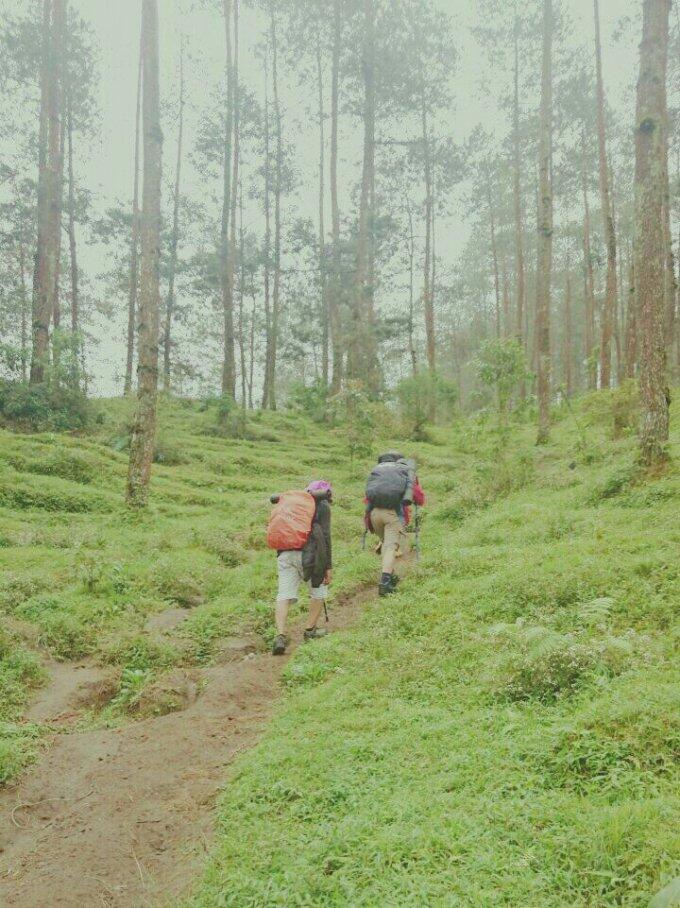 &#91;Catper&#93; GUNUNG MERBABU, via Suwanting, Magelang 3145mdpl