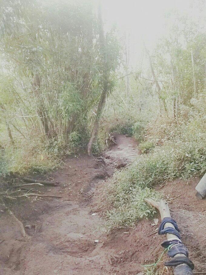 &#91;Catper&#93; GUNUNG MERBABU, via Suwanting, Magelang 3145mdpl