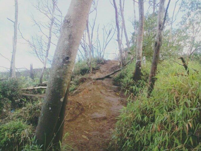 &#91;Catper&#93; GUNUNG MERBABU, via Suwanting, Magelang 3145mdpl