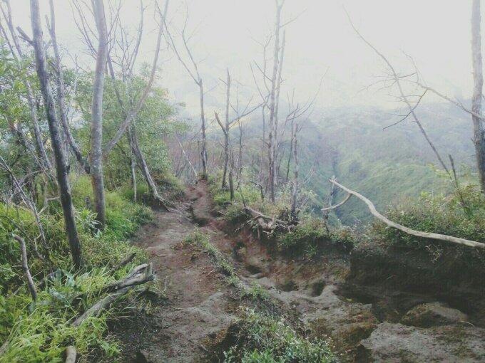 &#91;Catper&#93; GUNUNG MERBABU, via Suwanting, Magelang 3145mdpl